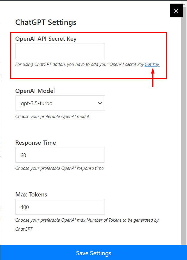OpenAI API Secret Key Box