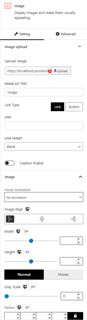 Customization Options of Image Block